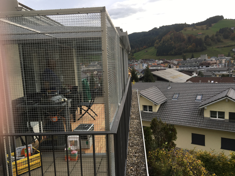 Katzenparadies